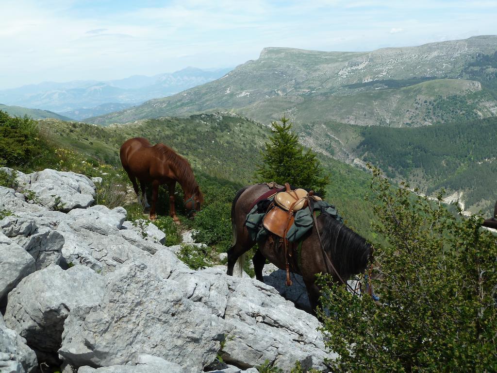 Gite Des Monges Sisteron Exterior photo