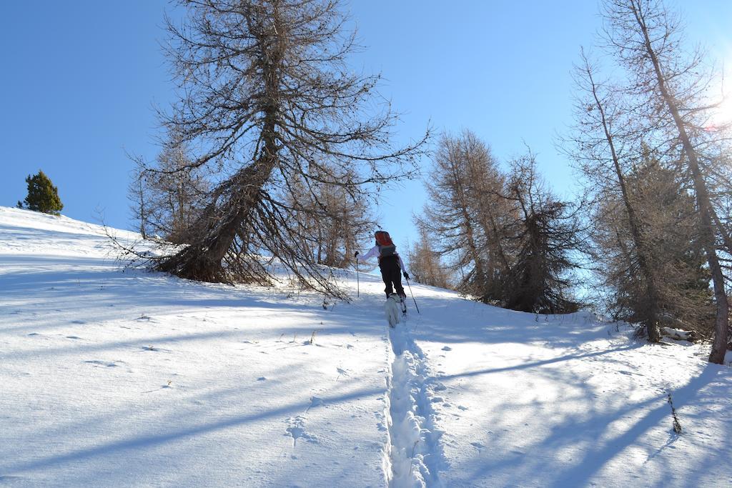 Gite Des Monges Sisteron Exterior photo