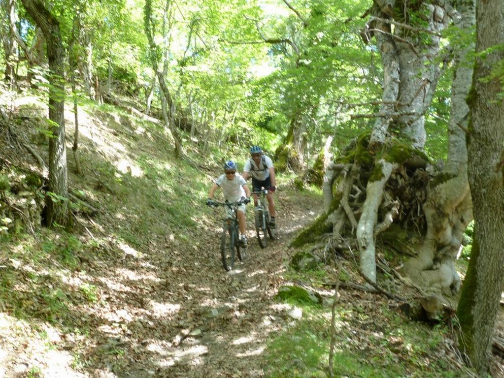 Gite Des Monges Sisteron Exterior photo