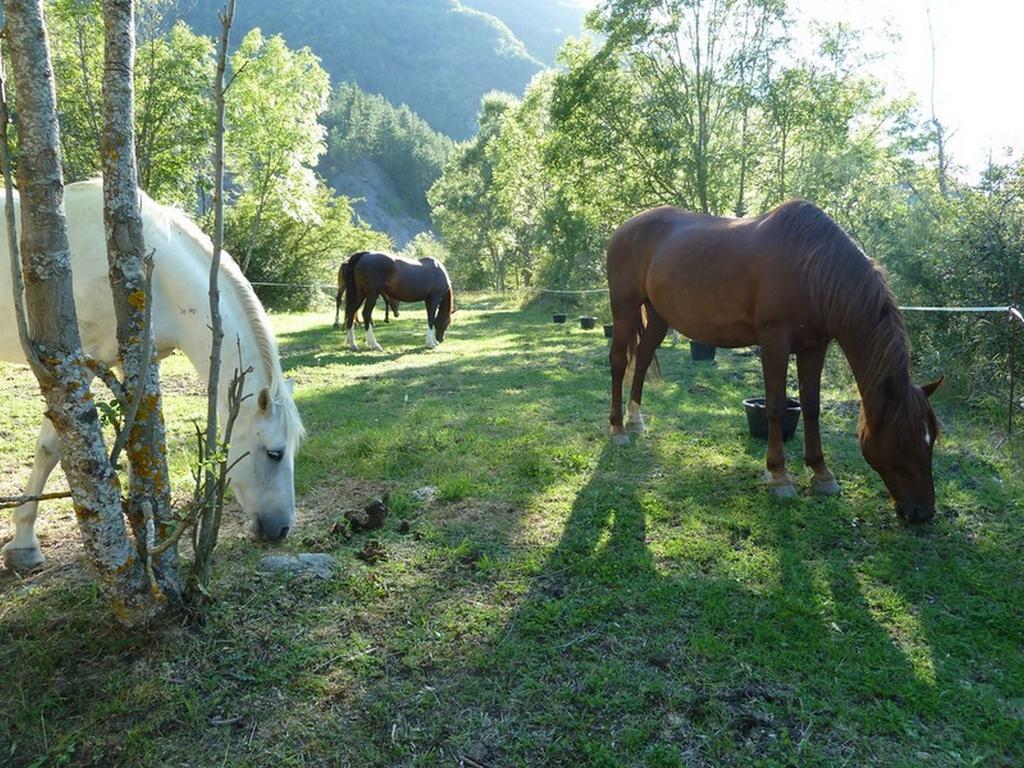 Gite Des Monges Sisteron Exterior photo